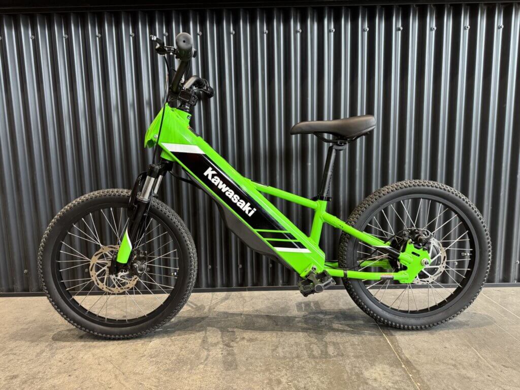 image-of-Best-kids'-E-bikes