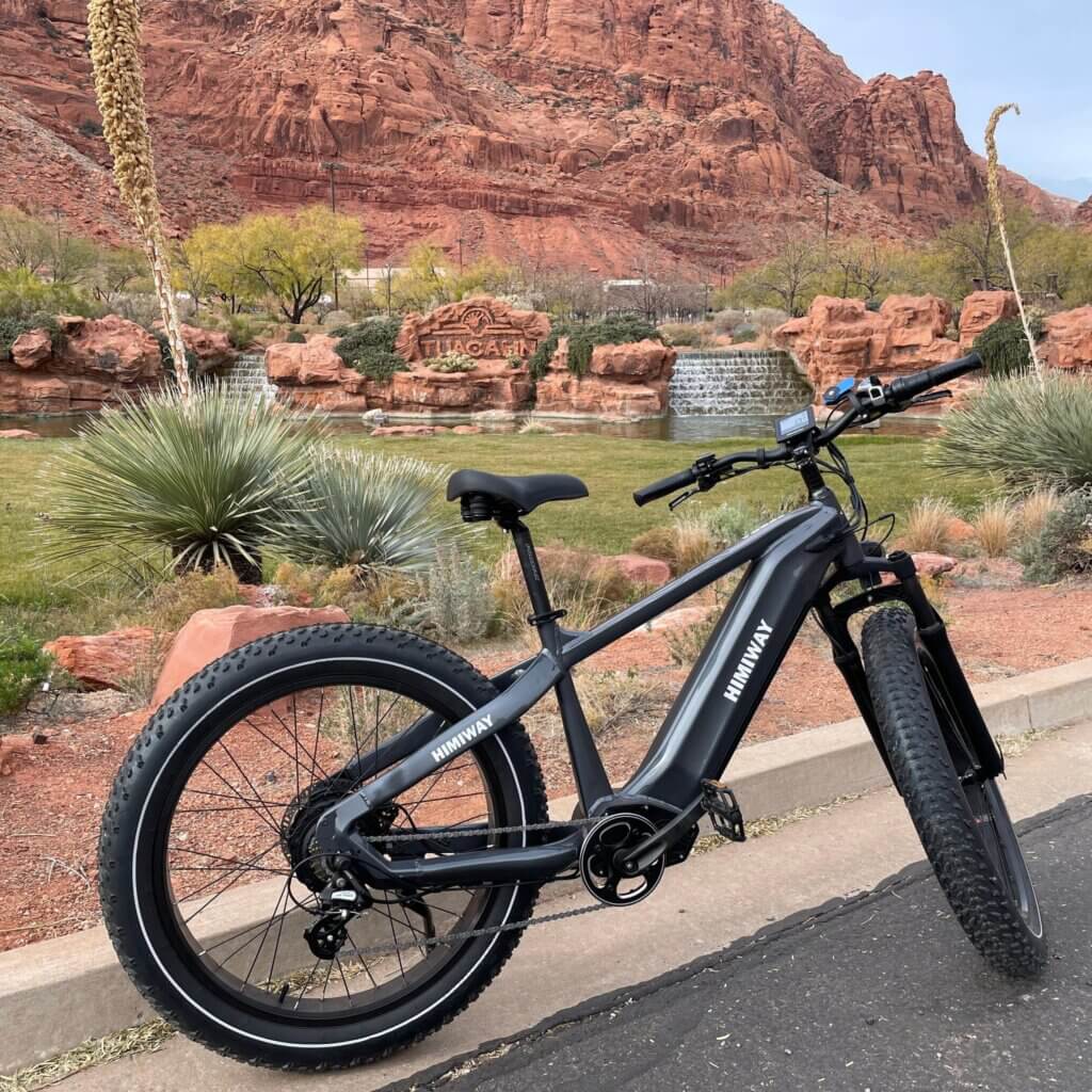 photo-of-Himiway-Zebra-Review